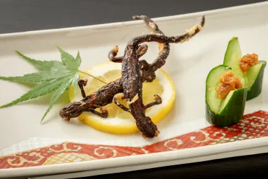 サンショウウオのから揚げ
