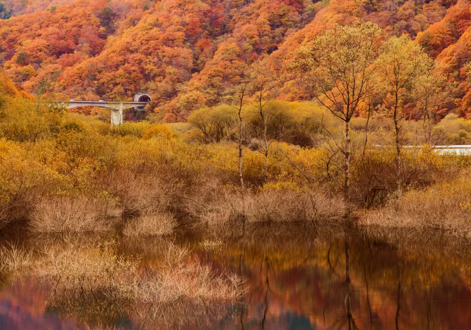 自然の風景